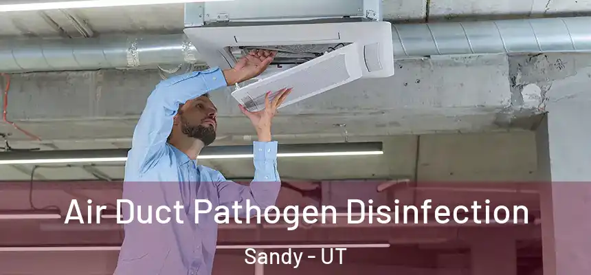 Air Duct Pathogen Disinfection Sandy - UT