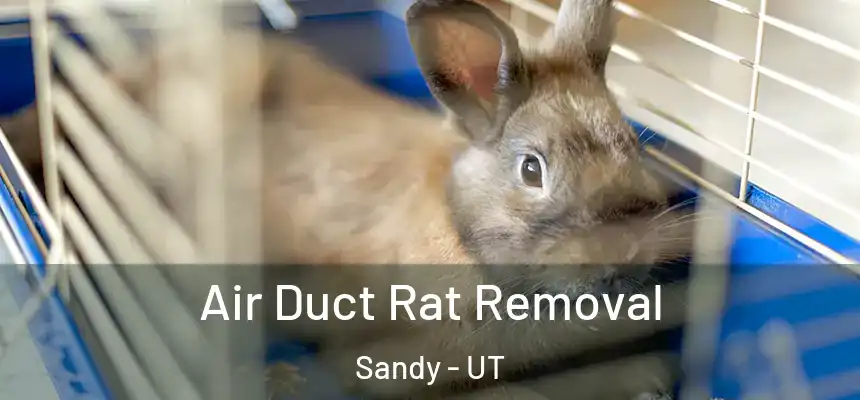  Air Duct Rat Removal Sandy - UT