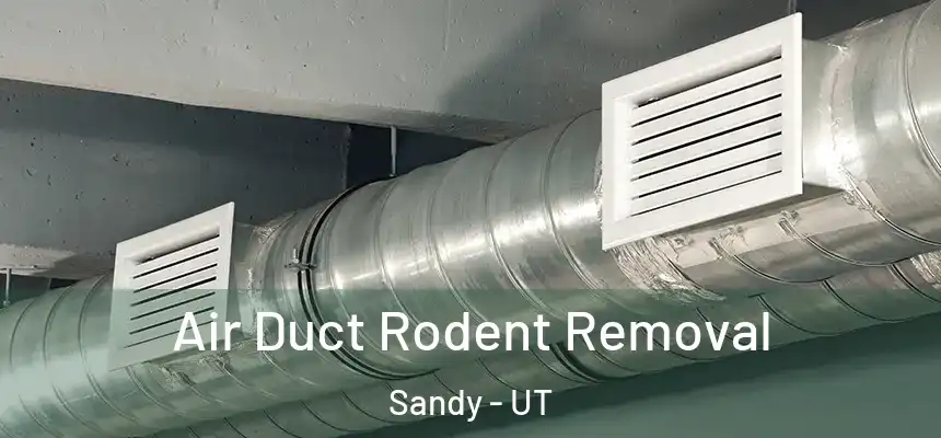  Air Duct Rodent Removal Sandy - UT