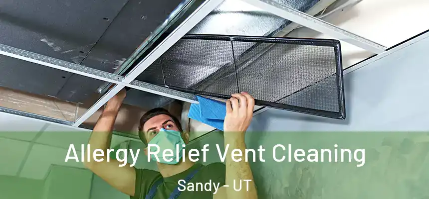 Allergy Relief Vent Cleaning Sandy - UT