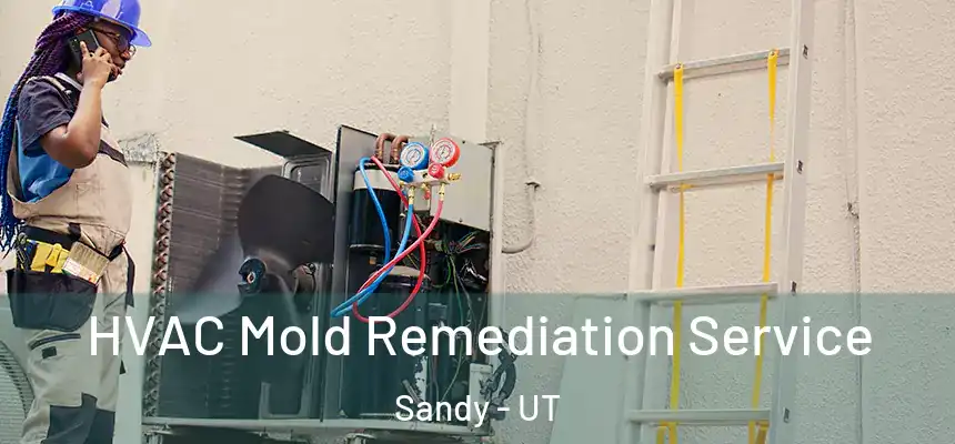  HVAC Mold Remediation Service Sandy - UT