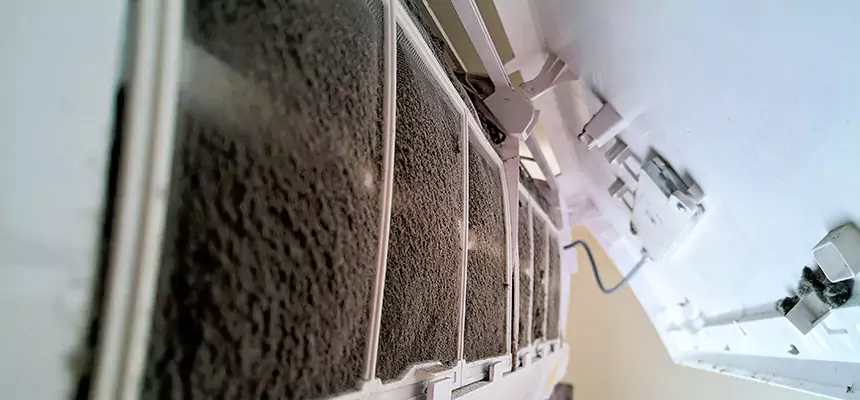 Preventive Air Duct Bacteria Removal in Sandy