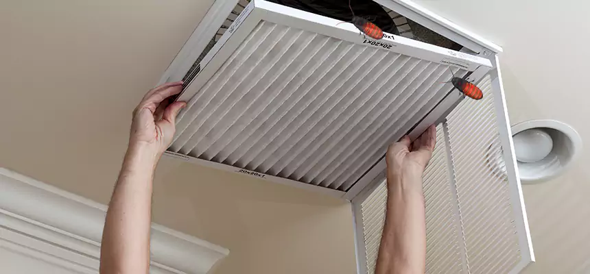 Preventive Cockroach-Proofing for Ducts in Sandy