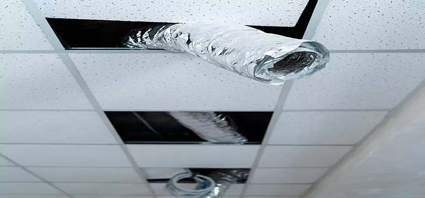 Affordable HVAC Sanitizing After Pest Removal in Sandy