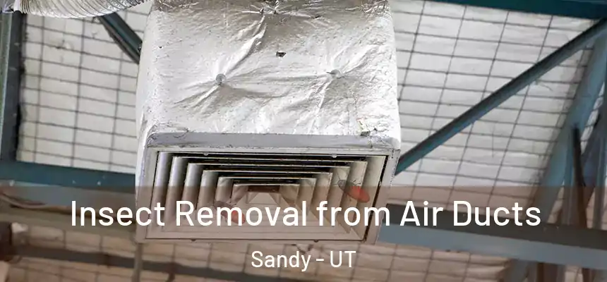 Insect Removal from Air Ducts Sandy - UT
