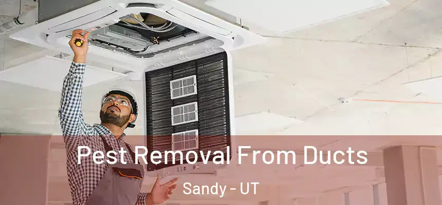 Pest Removal From Ducts Sandy - UT