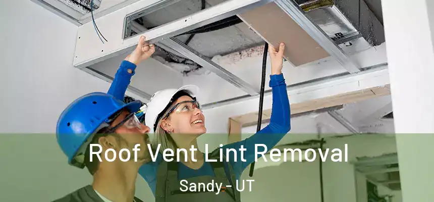  Roof Vent Lint Removal Sandy - UT