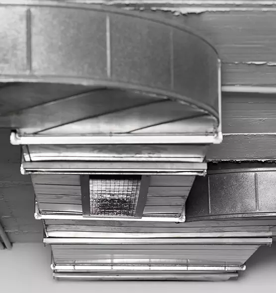 Professional Air Duct Pet Hair Removal in Sandy, UT