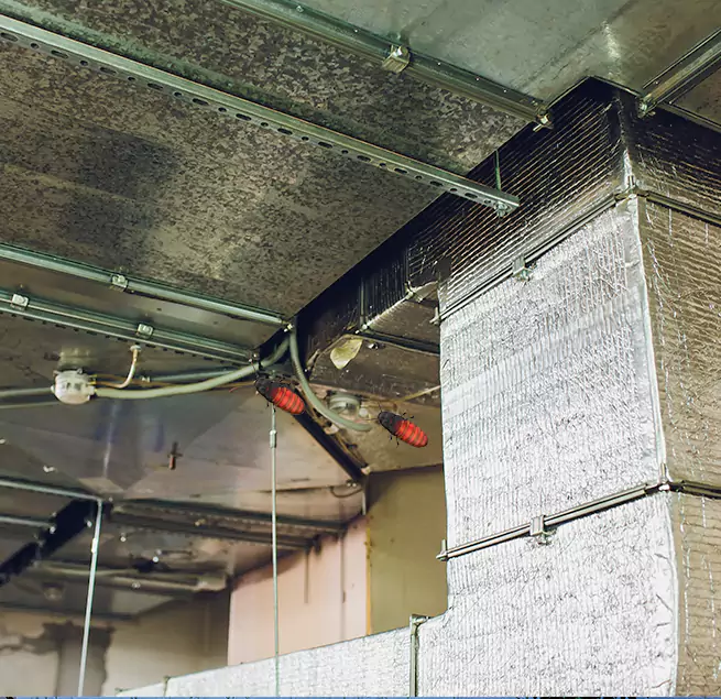 Why Homeowners & Businesses Trust Us in Sandy, UT?