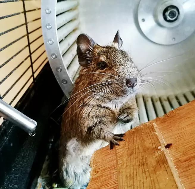 Why Homeowners & Businesses Trust Us Sandy, UT