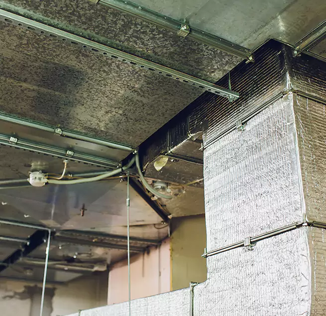 Why Homeowners & Businesses Trust Us in Sandy, UT?